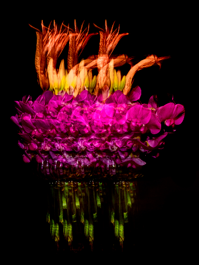 677d19a6b2e56 Tiptoe