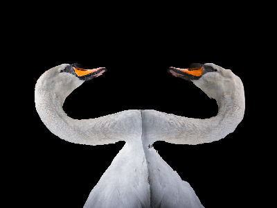 677d19a6cdf49 Heres looking at me