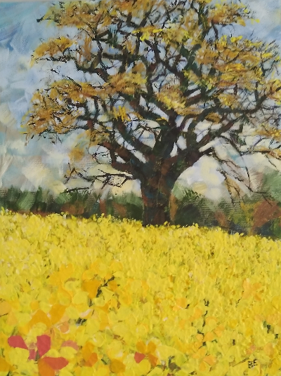 Barbar_Emery_-_Rapeseed image Barbar Emery Rapeseed