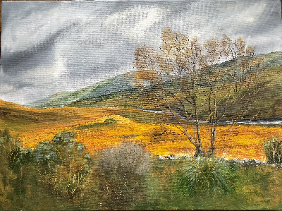 67b713cb0b89b-IMG_3397_1 image 67b713cb0b89b IMG 3397 1