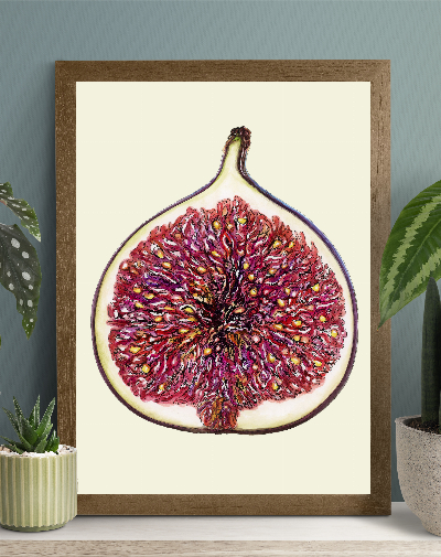 67ca8e835ca91-Fig_Etsy_1 image Fig Etsy 1