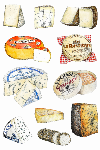 67ca8e8398fc6-20x30 image 67ca8e8398fc6 20x30