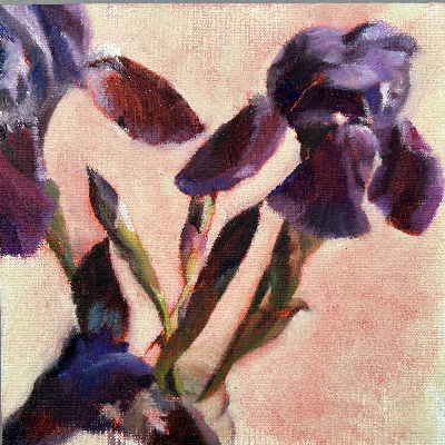 Caroline_Moore._Iris_Study_III._Oil_on_canvas_panel._20x20cms image Caroline Moore. Iris Study III. Oil on canvas panel. 20x20cms