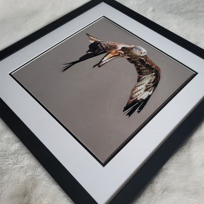 GE-red_kite image GE red kite