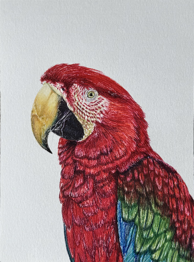 Lydia%20C-1 image Lydia C 1