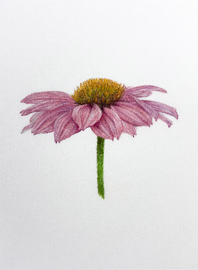 Lydia%20C-3 image Lydia C 3