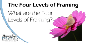 The Four Levels of Framing 